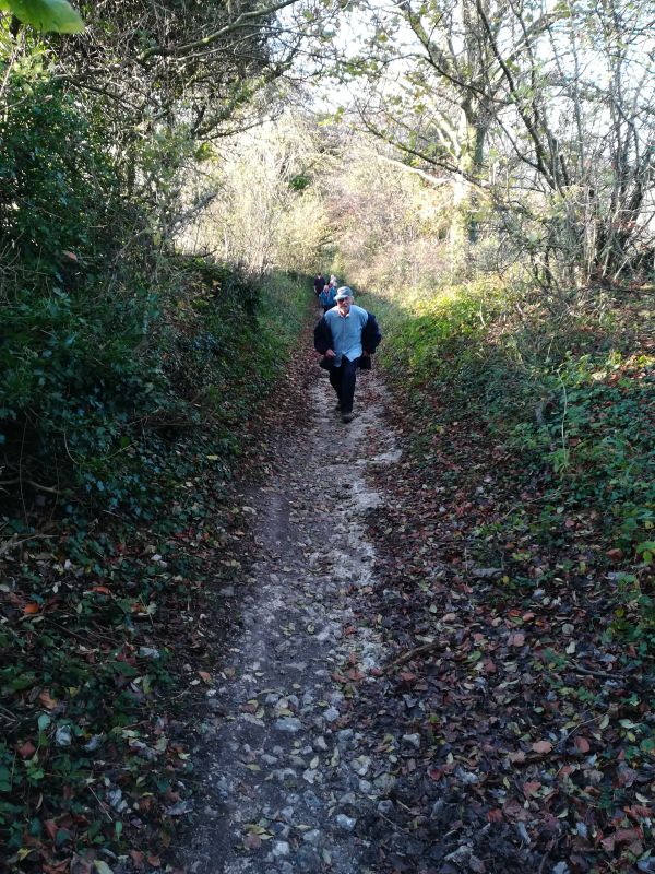 walker, making way down hill